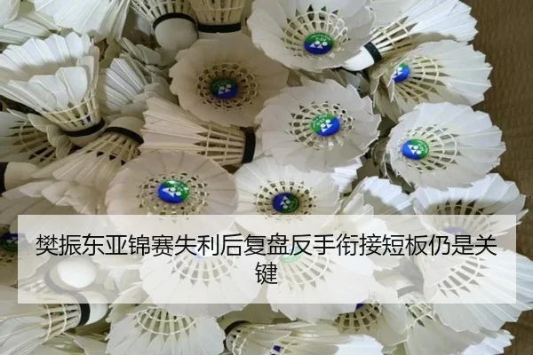 樊振东亚锦赛失利后复盘反手衔接短板仍是关键